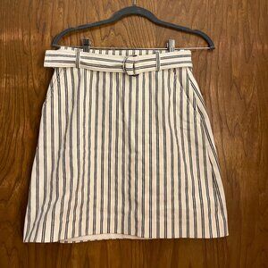 Ann Taylor Striped Miniskirt